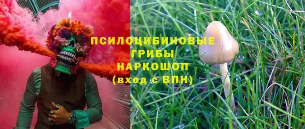 первитин Коряжма