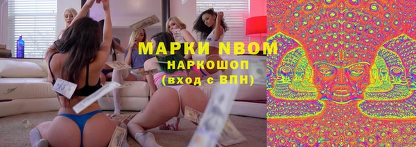 Альфа ПВП Кущёвская