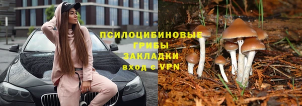 первитин Коряжма